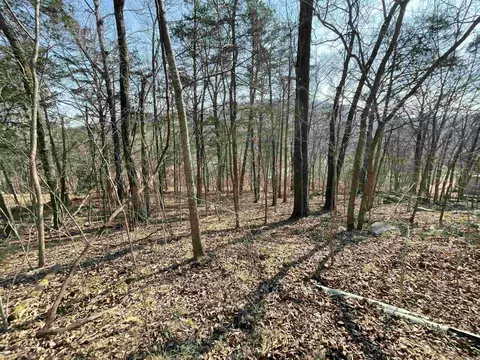 000 Peace Mountain Rd, Mountain View, AR 72560 photo 7