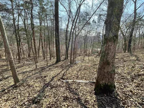 000 Peace Mountain Rd, Mountain View, AR 72560 photo 8