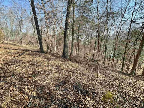 000 Peace Mountain Rd, Mountain View, AR 72560 photo 10