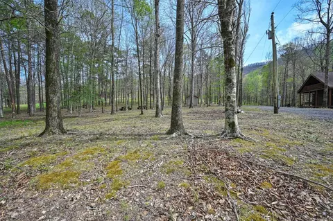 Exterior - tbd Polk Road 602, Mena, AR 71953 photo 21 of 24