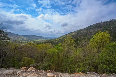 Other - tbd Polk Road 602, Mena, AR 71953 photo 5 of 6