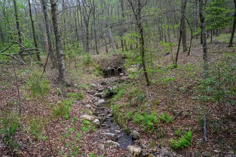Other - tbd Polk Road 602, Mena, AR 71953 photo 3 of 6