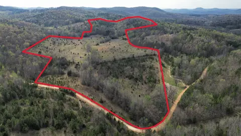77 Coon Dog Ln, Melbourne, AR 72556