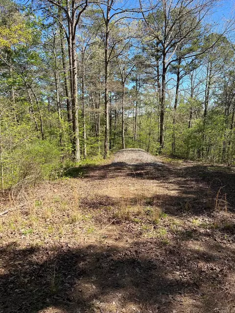 233 White, Clinton, AR 72031 photo 6