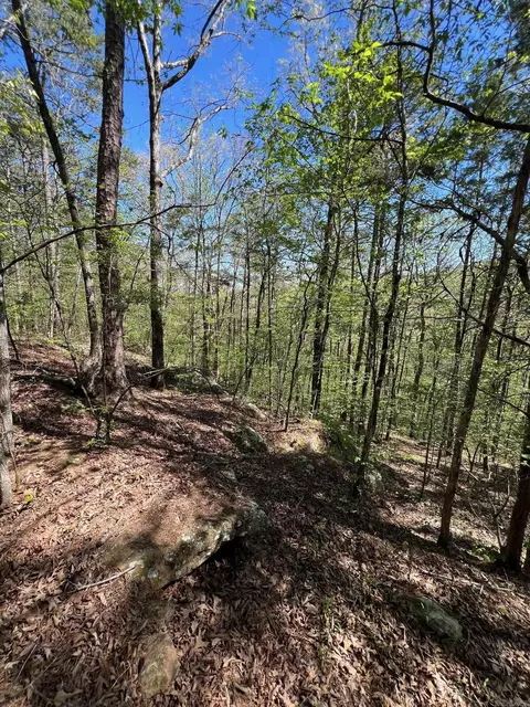 233 White, Clinton, AR 72031 photo 9