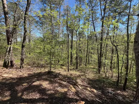 233 White, Clinton, AR 72031 photo 5