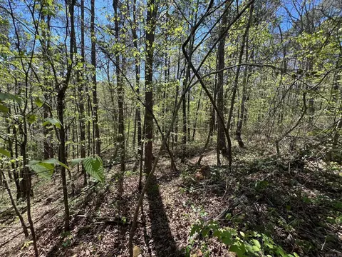233 White, Clinton, AR 72031 photo 8