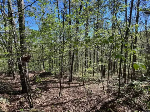 233 White, Clinton, AR 72031 photo 7