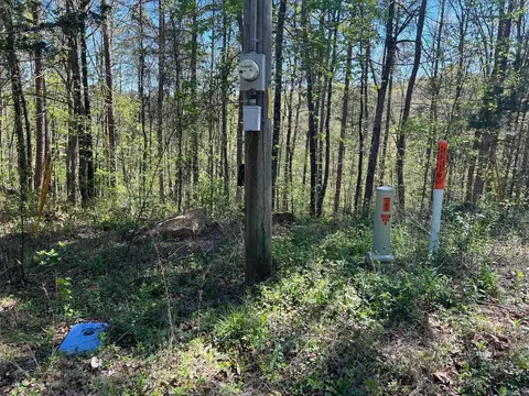 233 White, Clinton, AR 72031 photo 4