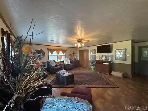 Living - 120 Patrick St, Dumas, AR 71639 photo 2 of 2