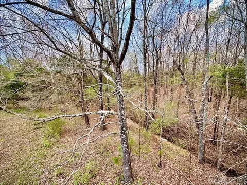 37 Acres Acree Rd, Maynard, AR 72444 photo 10