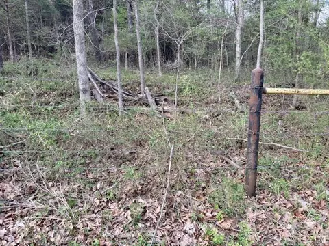 37 Acres Acree Rd, Maynard, AR 72444 photo 5
