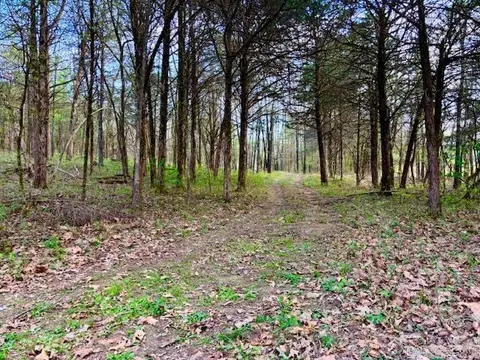 37 Acres Acree Rd, Maynard, AR 72444 photo 13