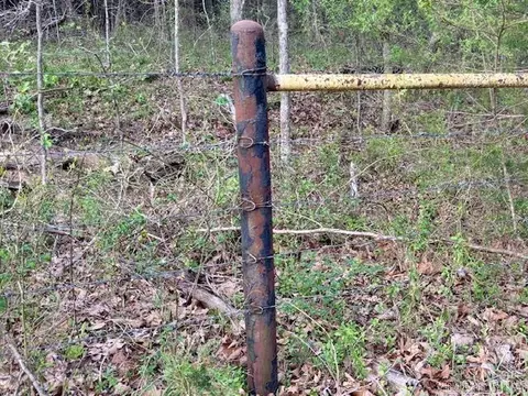 37 Acres Acree Rd, Maynard, AR 72444 photo 4