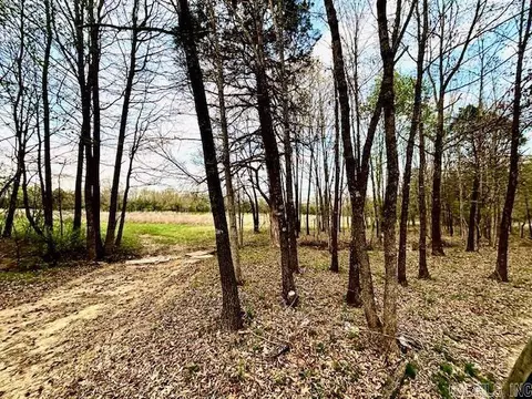 37 Acres Acree Rd, Maynard, AR 72444 photo 21