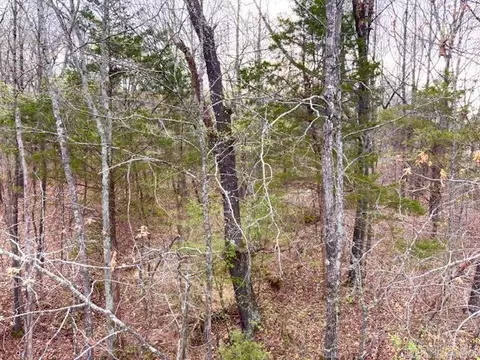 37 Acres Acree Rd, Maynard, AR 72444 photo 9