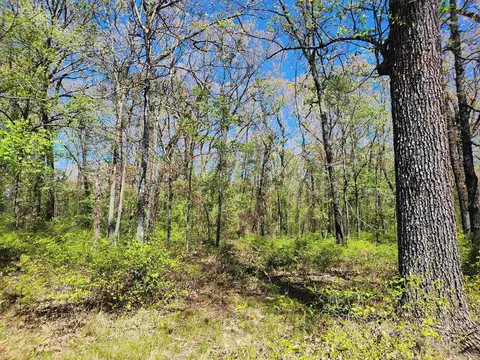 13000 W 54 Hwy, Pine Bluff, AR 71603 photo 17