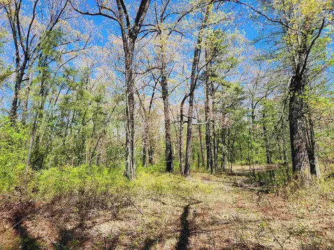 13000 W 54 Hwy, Pine Bluff, AR 71603 photo 19