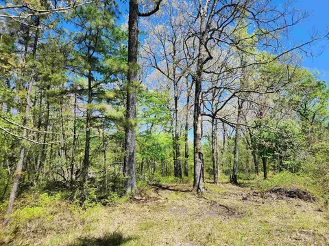13000 W 54 Hwy, Pine Bluff, AR 71603 photo 21