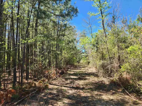 13000 W 54 Hwy, Pine Bluff, AR 71603 photo 27