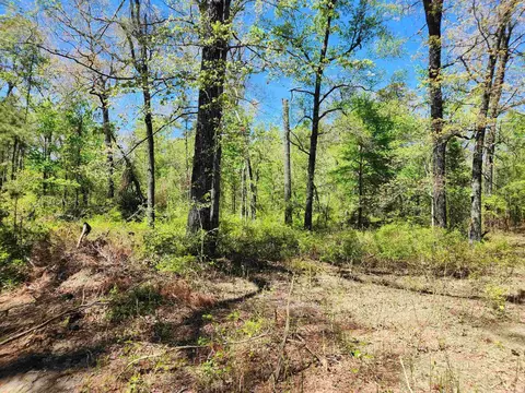 13000 W 54 Hwy, Pine Bluff, AR 71603 photo 22