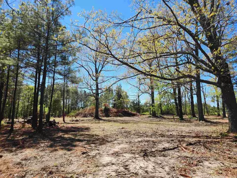 13000 W 54 Hwy, Pine Bluff, AR 71603 photo 28