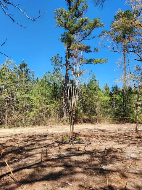 13000 W 54 Hwy, Pine Bluff, AR 71603 photo 31
