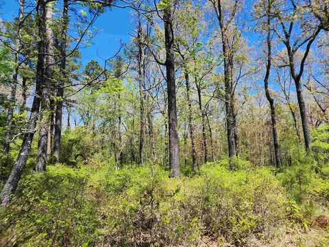 13000 W 54 Hwy, Pine Bluff, AR 71603 photo 15