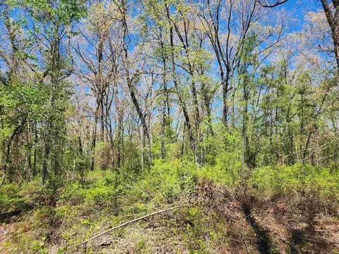13000 W 54 Hwy, Pine Bluff, AR 71603 photo 18