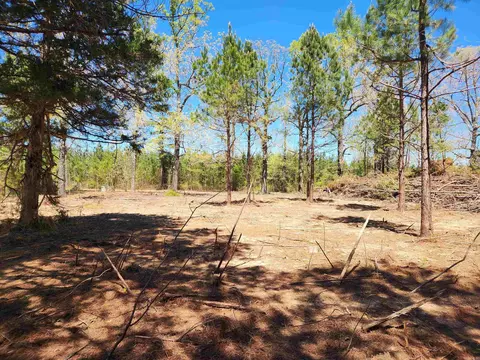 13000 W 54 Hwy, Pine Bluff, AR 71603 photo 11