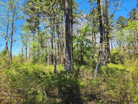 13000 W 54 Hwy, Pine Bluff, AR 71603 photo 16