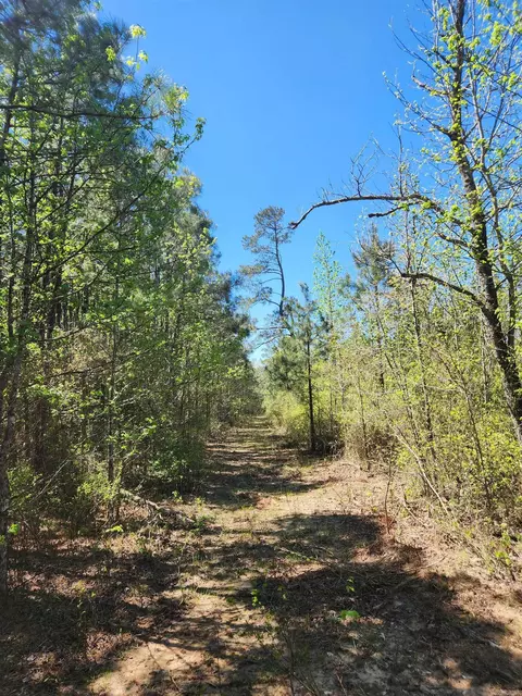 13000 W 54 Hwy, Pine Bluff, AR 71603 photo 26