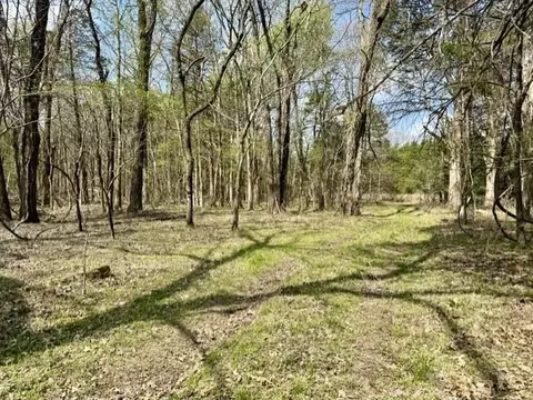 000 Milligan Campground Rd, Strawberry, AR 72469