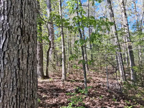 tbd Hwy 14, Mountain View, AR 72560 photo 12