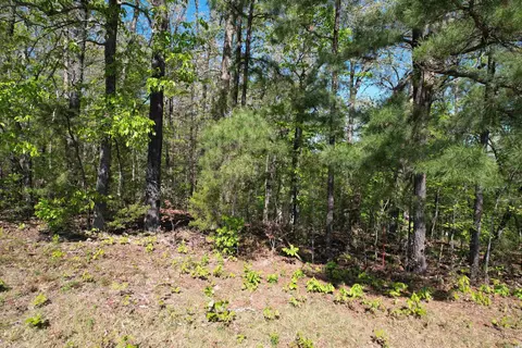 tbd Hwy 14, Mountain View, AR 72560 photo 14