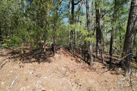 tbd Hwy 14, Mountain View, AR 72560 photo 8