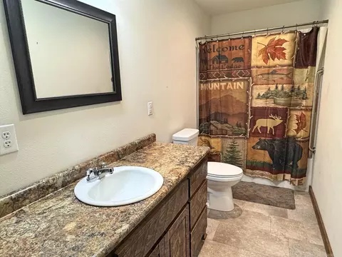 Bath - 508 Harding Blvd, Mountain View, AR 72560 photo 4 of 5