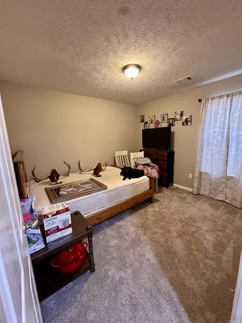 Bedroom - 115 Greg Sneed Dr, Quitman, AR 72131 photo 3 of 3