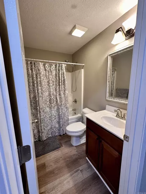 Bath - 115 Greg Sneed Dr, Quitman, AR 72131 photo 3 of 3