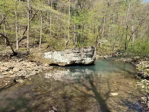 000 Jenkins Rd, Clinton, AR 72031
