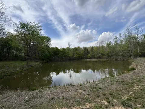 0 Cr 455, Piggott, AR 72454