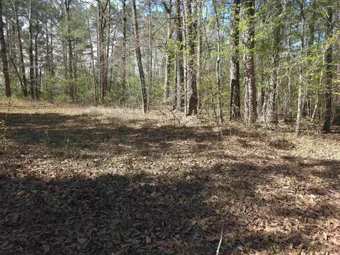 tbd Shawmut Rd, Murfreesboro, AR 71958 photo 33