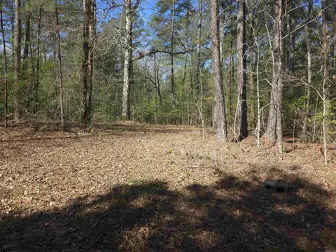 tbd Shawmut Rd, Murfreesboro, AR 71958 photo 32