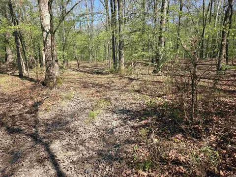 tbd Shawmut Rd, Murfreesboro, AR 71958 photo 17