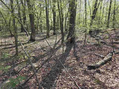 tbd Shawmut Rd, Murfreesboro, AR 71958 photo 9