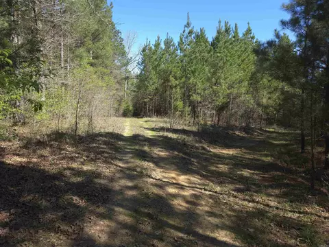 tbd Shawmut Rd, Murfreesboro, AR 71958 photo 43