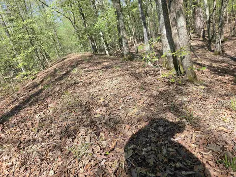 tbd Shawmut Rd, Murfreesboro, AR 71958 photo 5