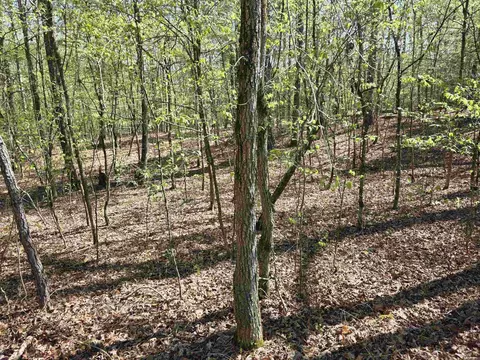tbd Shawmut Rd, Murfreesboro, AR 71958 photo 23
