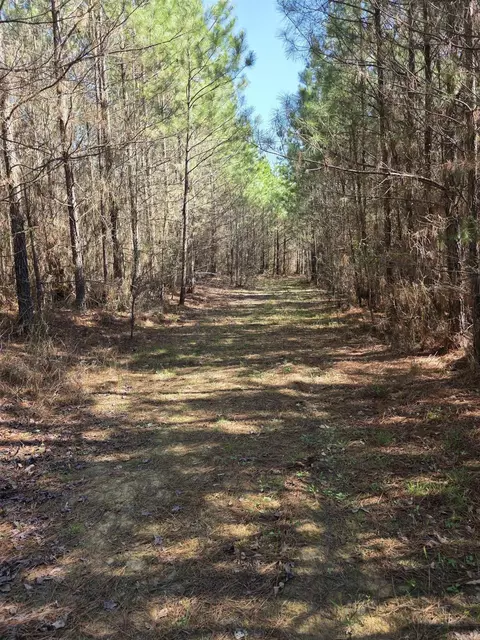 tbd Shawmut Rd, Murfreesboro, AR 71958 photo 41