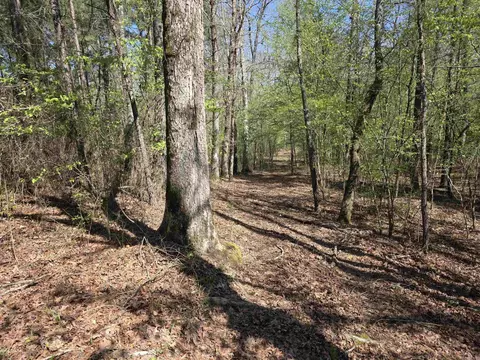 tbd Shawmut Rd, Murfreesboro, AR 71958 photo 24